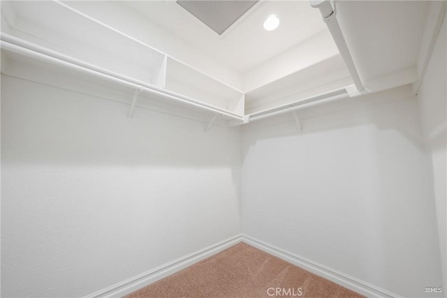 walk in closet with carpet floors