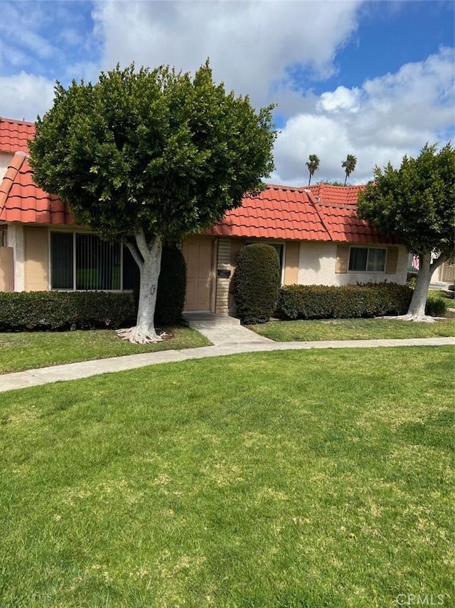 view of front of house featuring a tile roof, a front lawn, and stucco siding