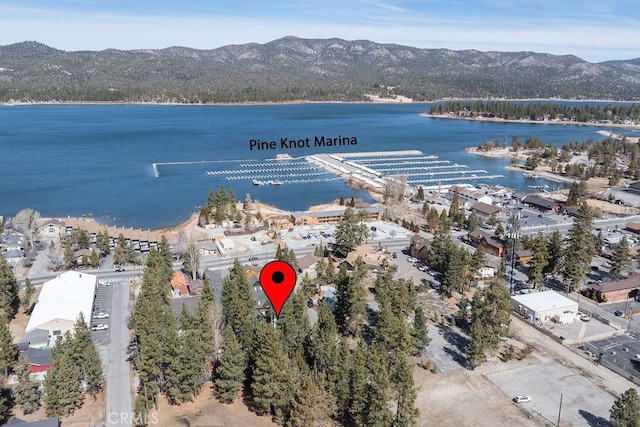 birds eye view of property featuring a water and mountain view