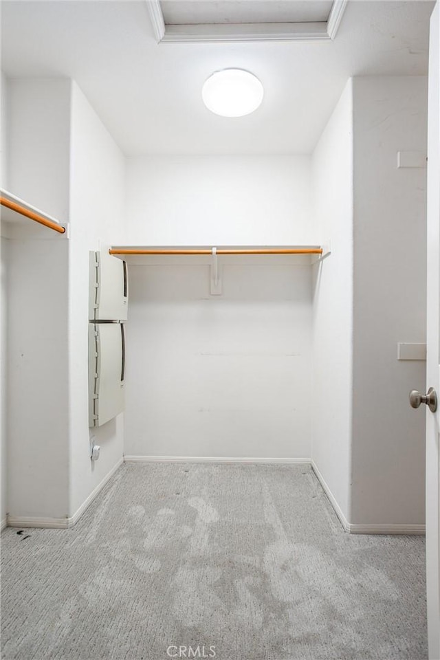 spacious closet featuring carpet floors