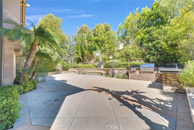 view of patio / terrace with grilling area and an outdoor kitchen