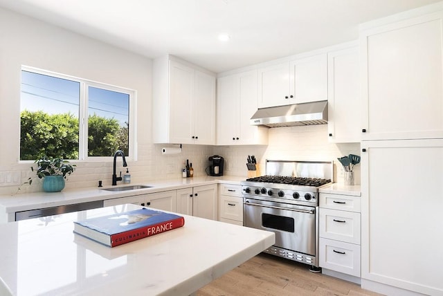 kitchen featuring under cabinet range hood, appliances with stainless steel finishes, light countertops, and a sink