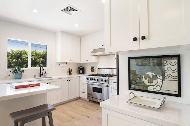 kitchen with tasteful backsplash, visible vents, designer stove, under cabinet range hood, and a sink