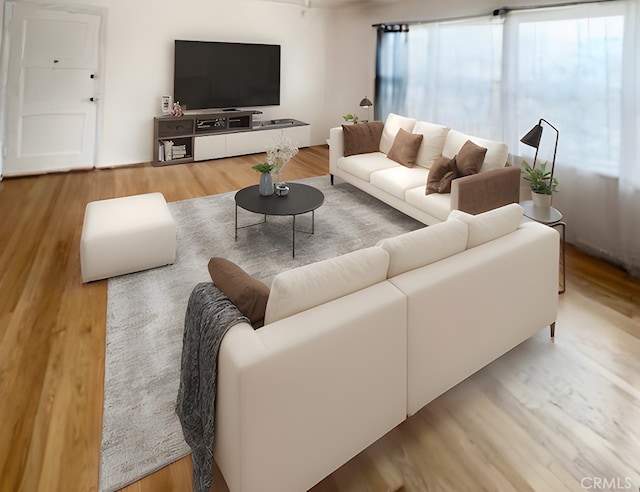 living area featuring wood finished floors