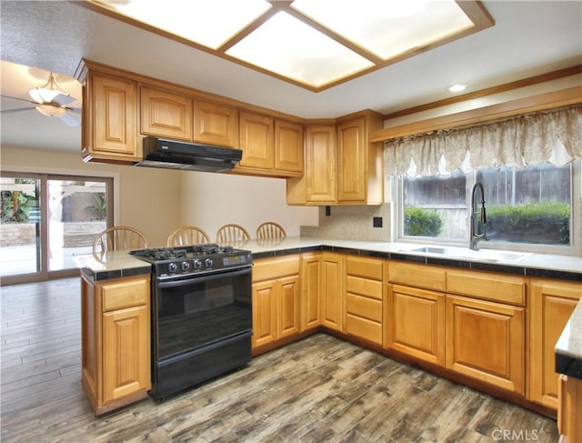 kitchen featuring black gas range oven, a peninsula, ventilation hood, a healthy amount of sunlight, and a sink