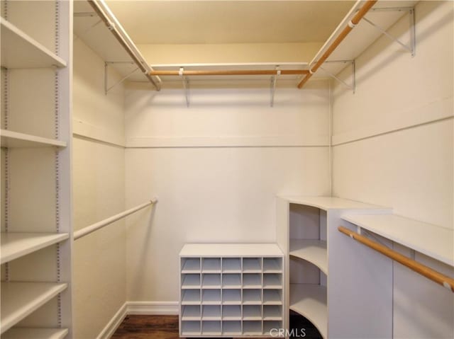 spacious closet with dark wood-type flooring