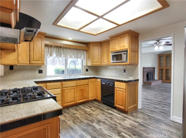 kitchen with dishwasher, stainless steel microwave, wood finished floors, ventilation hood, and a sink