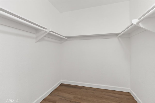 spacious closet with wood finished floors