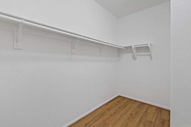 walk in closet with light wood finished floors