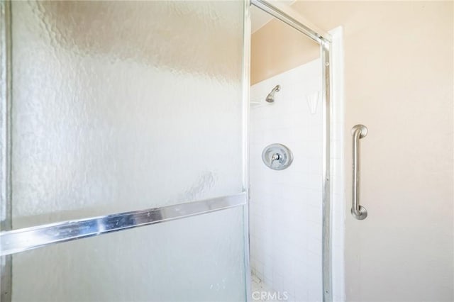 bathroom featuring a shower stall