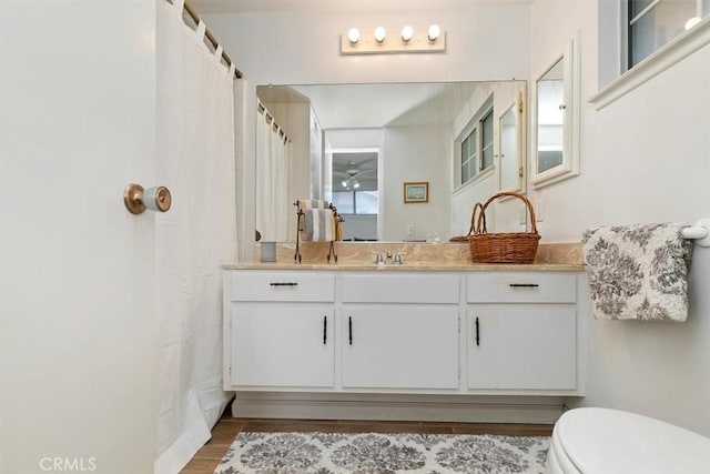 bathroom featuring curtained shower, toilet, vanity, and wood finished floors