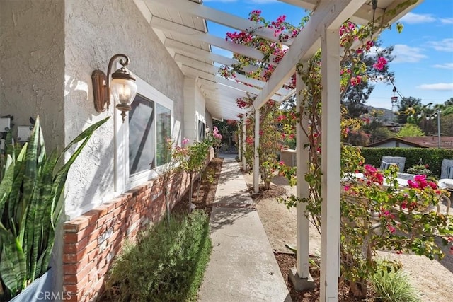 view of patio / terrace with a pergola