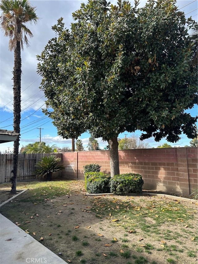 view of yard with a fenced backyard