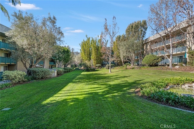 view of home's community with a lawn