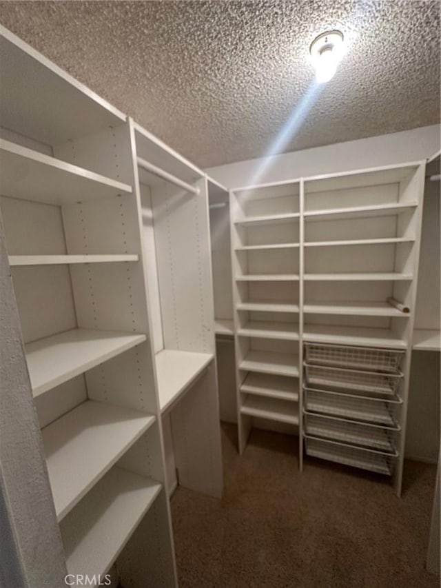 walk in closet with carpet flooring