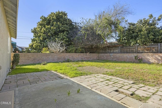 view of yard with a patio and a fenced backyard