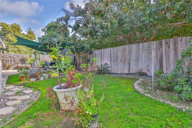 view of yard with a fenced backyard