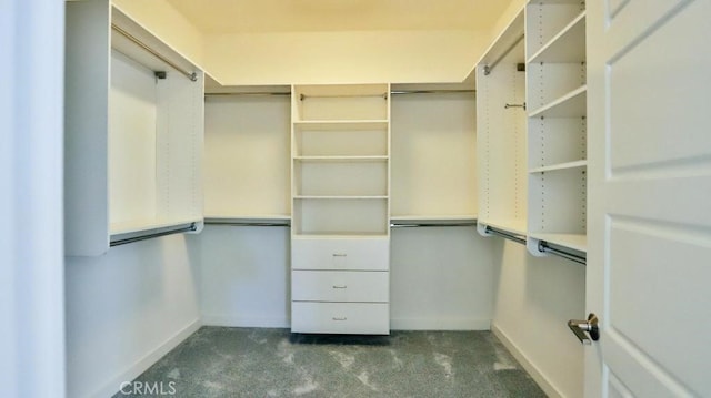 spacious closet featuring dark colored carpet