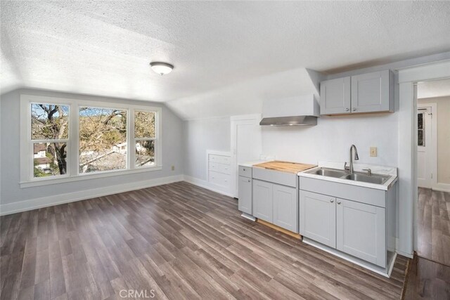 kitchen featuring dark wood-type flooring, gray cabinetry, and a sink