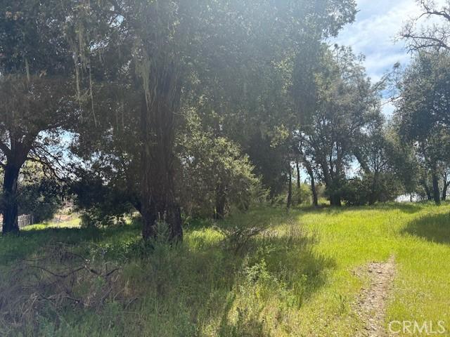6843 Santa Lucia Rd, Atascadero, CA 93422 - photo 54