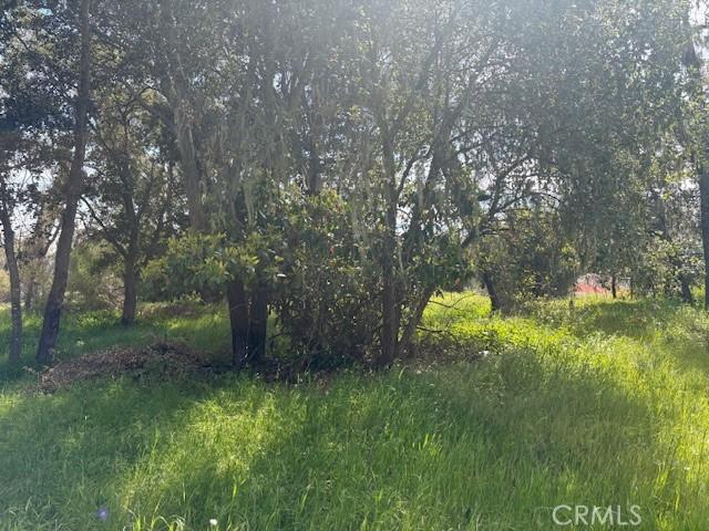 6843 Santa Lucia Rd, Atascadero, CA 93422 - photo 50