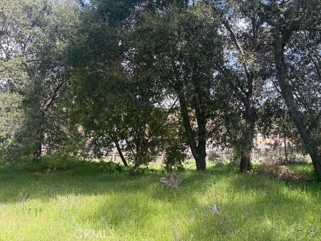 6843 Santa Lucia Rd, Atascadero, CA 93422 - photo 51