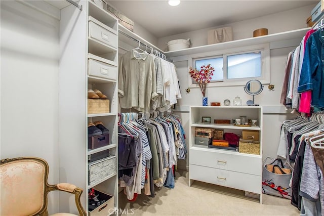 spacious closet featuring carpet floors