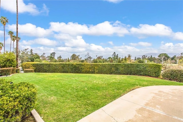 view of property's community featuring a yard and a patio