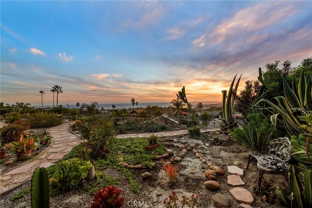 view of yard at dusk