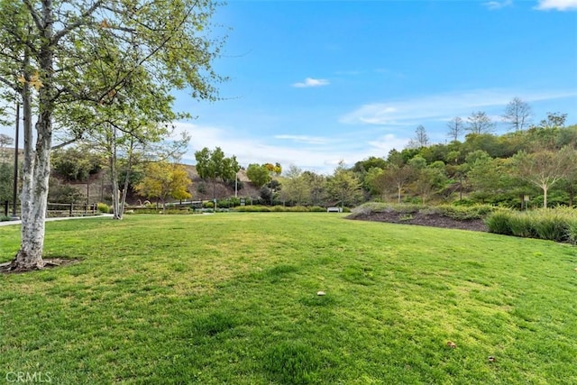 view of property's community with a yard