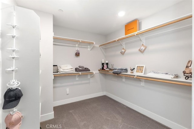 spacious closet with carpet flooring