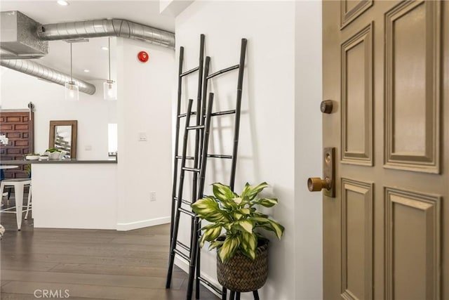 foyer entrance featuring dark wood-style floors