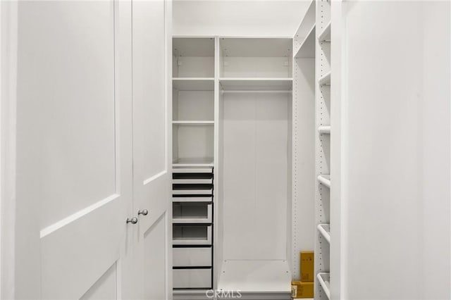 view of walk in closet