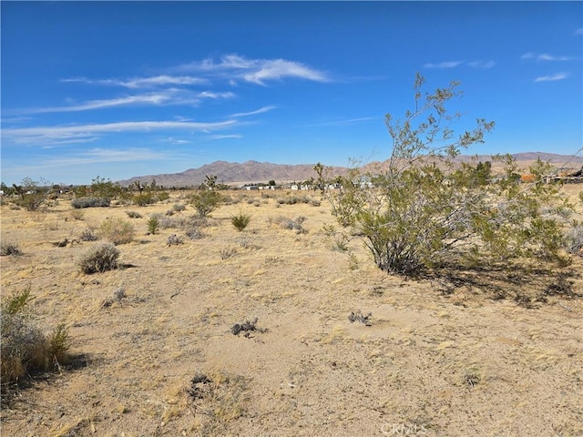 Listing photo 3 for 88 Cody Rd, Lucerne Valley CA 92356