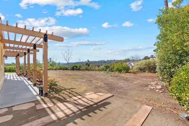 view of yard featuring a patio and a pergola