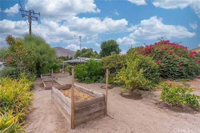 view of community featuring a garden and a mountain view