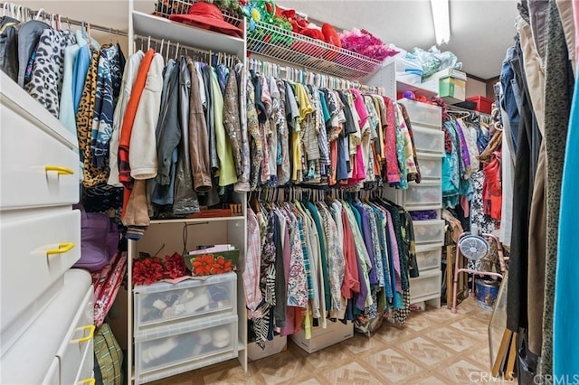 view of spacious closet