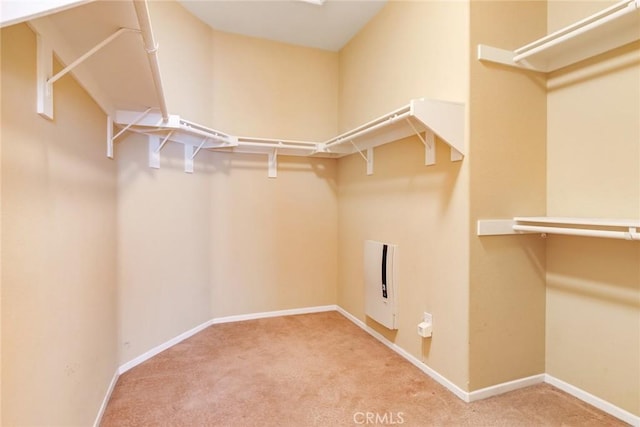 spacious closet with carpet