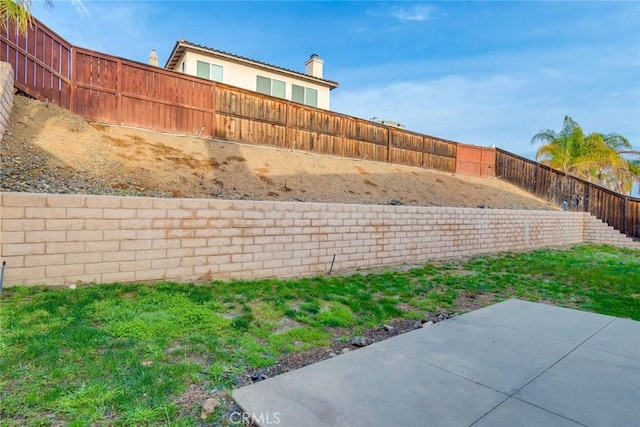 view of yard with a patio area and a fenced backyard