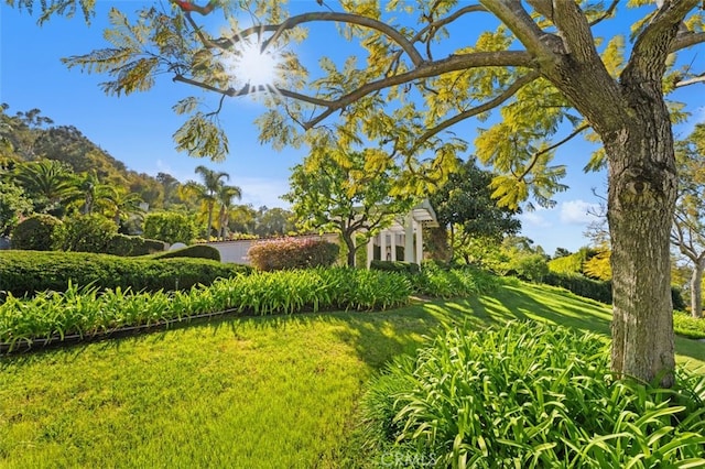 view of yard