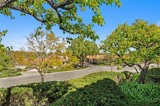 view of street with curbs