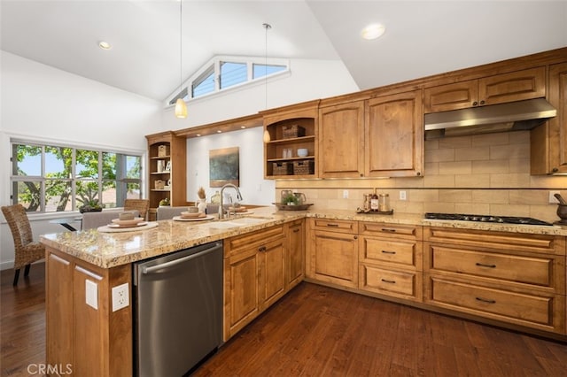 kitchen featuring under cabinet range hood, open shelves, a sink, stainless steel appliances, and dark wood-style flooring