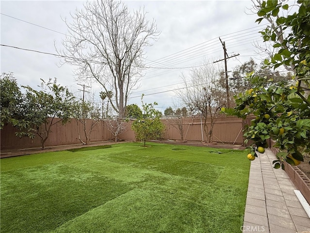 view of yard featuring a fenced backyard