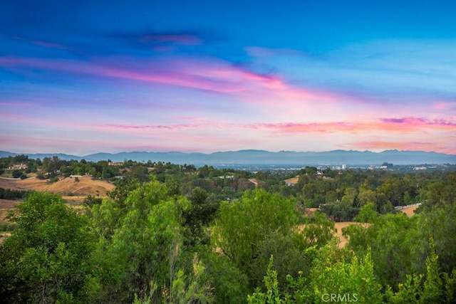 property view of mountains featuring a wooded view