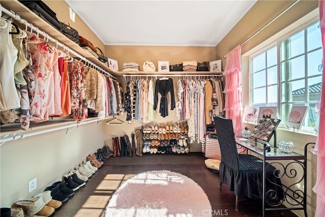 spacious closet featuring wood finished floors