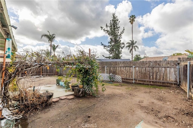 view of yard featuring a patio area and a fenced backyard