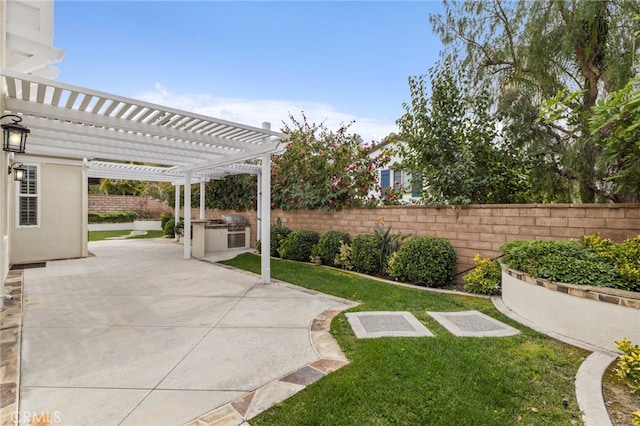 view of yard with exterior kitchen, a fenced backyard, a pergola, and a patio