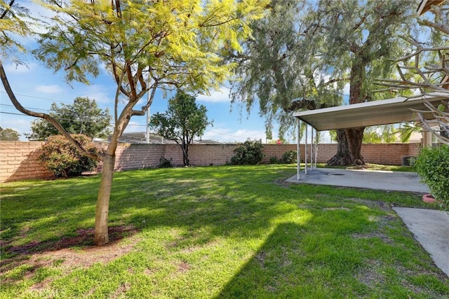 view of yard featuring a fenced backyard and a patio area