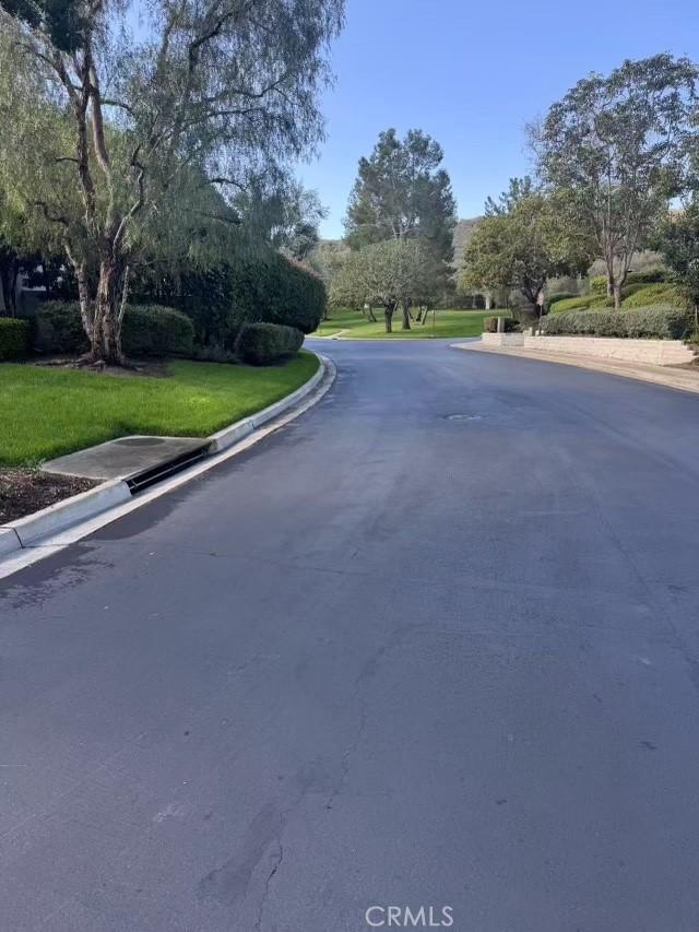 view of street with curbs