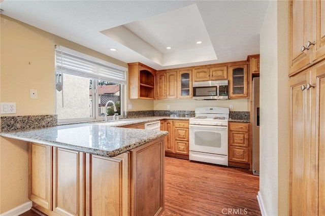 kitchen with a peninsula, appliances with stainless steel finishes, a raised ceiling, and light stone counters